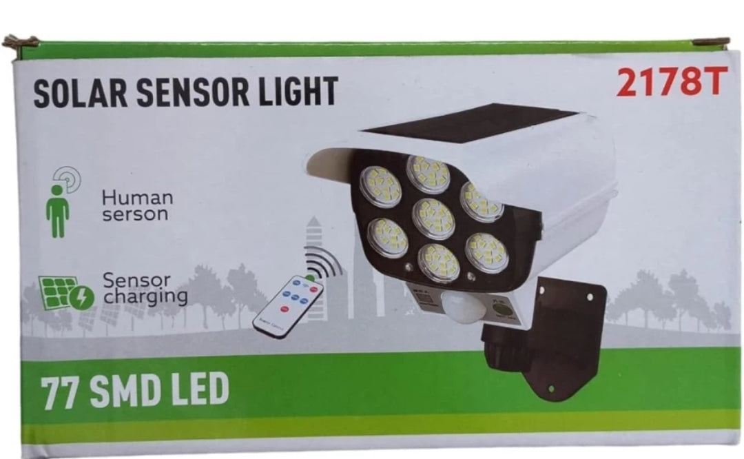 Remote Control Motion Sensor Solar Garden Spotlight